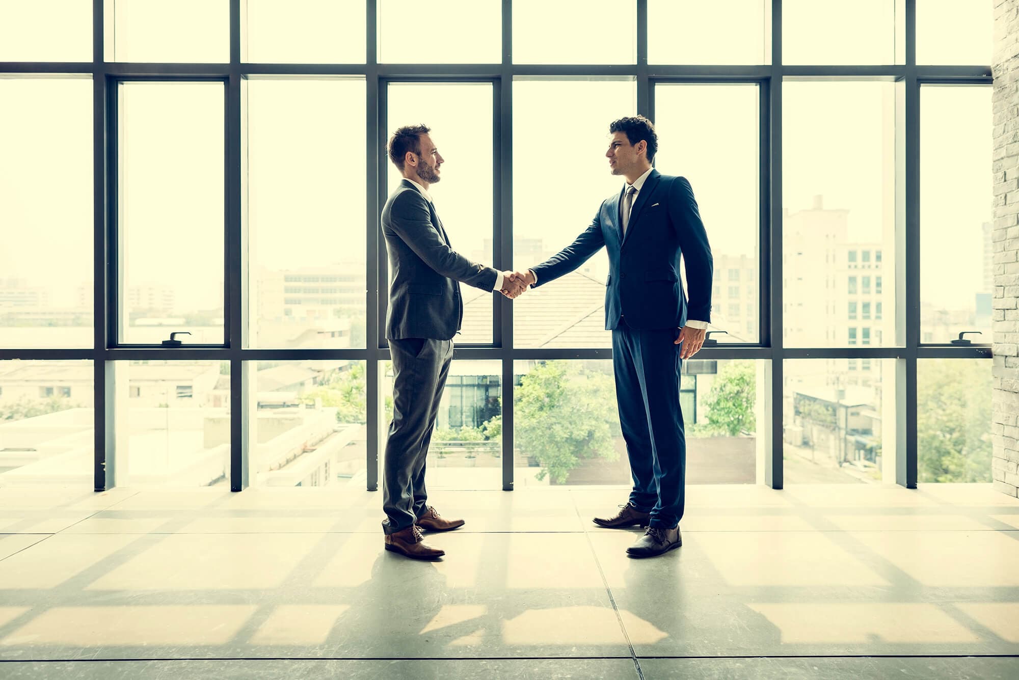 Transaction Advisory background